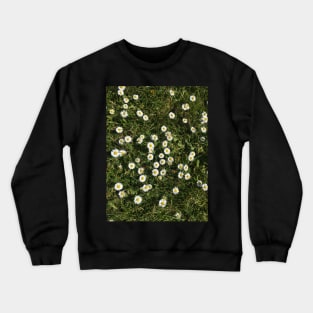 Daisy, daisy Crewneck Sweatshirt